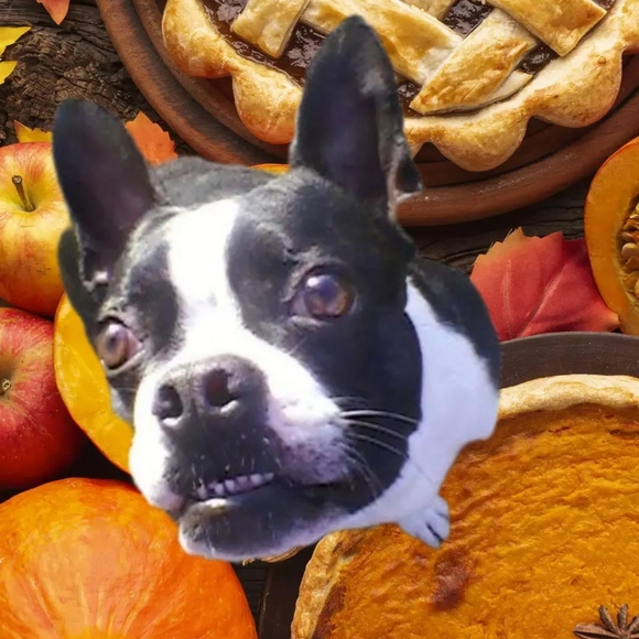 Meet your Posher, Justin - Picture 3 of 6